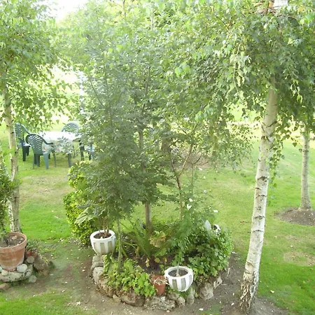 El Magnolio *