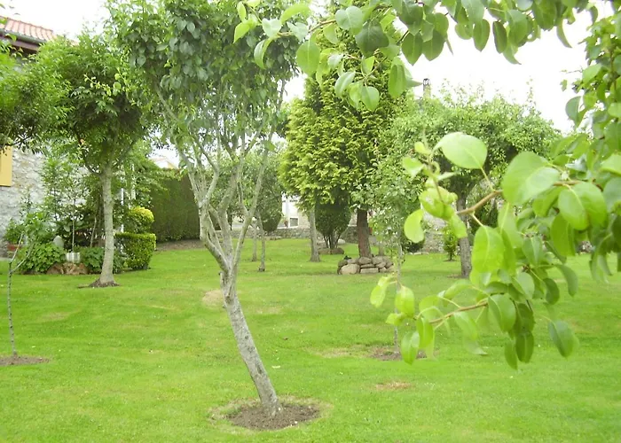 Apartman El Magnolio