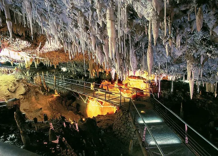 דירה El Magnolio